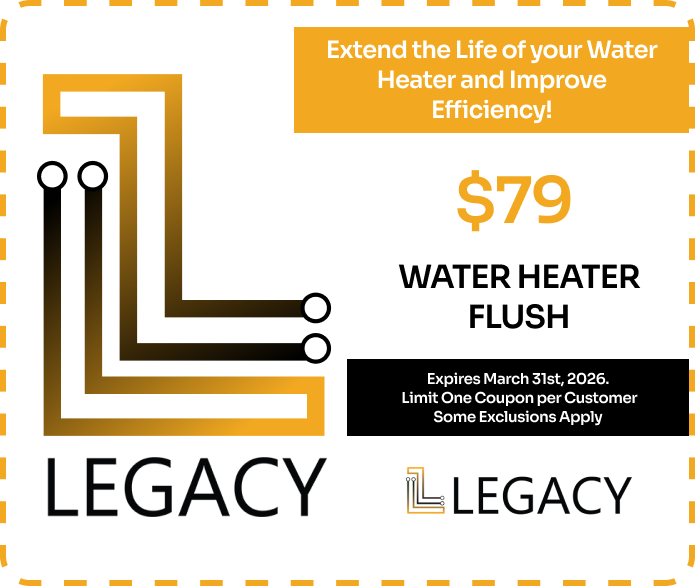 Water heater flush